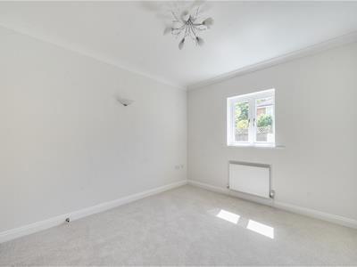 Picture 15
